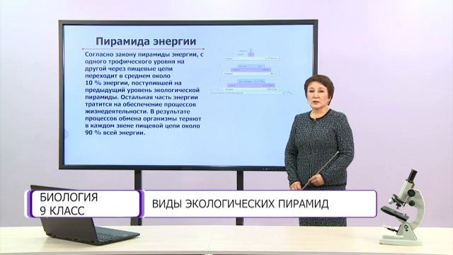 Биология. 9 класс. Виды экологических пирамид /18.09.2020/ смотреть онлайн