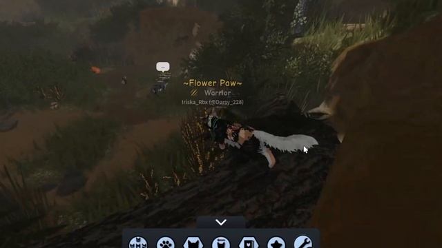 Обновление в WARRIORS CAT ROBLOX!!! ||Можно теперь ловить дич!|| ? #roblox #роблокс #котывоители смотреть онлайн