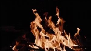 Пока мы лиц не обрели! Роман. Часть 1. Чтение у камина