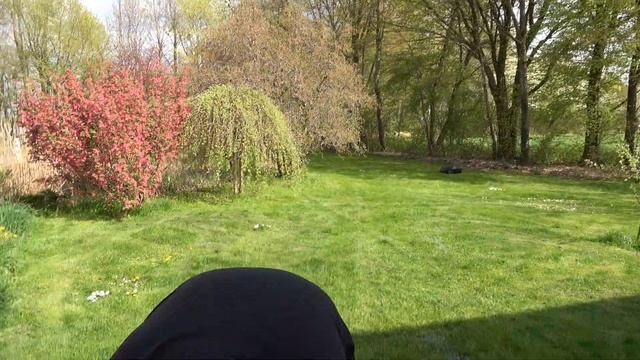 Honda Benzin-Rasenmäher HRG 466C1 SKEP (IZY) Im Mäheinsatz - Test - Video Bedienungsanleitung