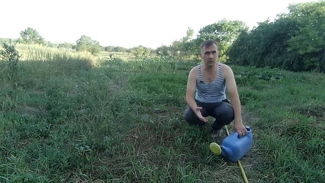 Чистка ворот, подкормка огорода.