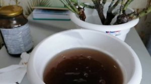 Розы после покупки. Что делать с саженцами роз дома после покупки.