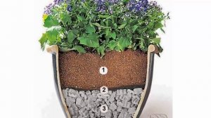 Дренаж для комнатных растений. Что собой представляет и зачем нужен дренаж.