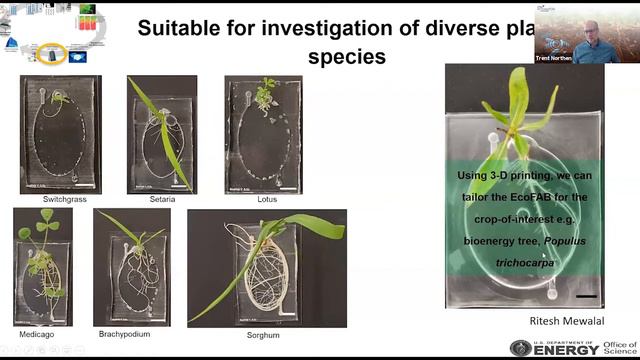 Exploring the chemistry of rhizosphere microbiomes | 2021 EMSL User Meeting смотреть онлайн