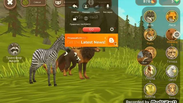 Меняю аккаунт в вайлд крафте! Есть 200 лвл! смотреть онлайн