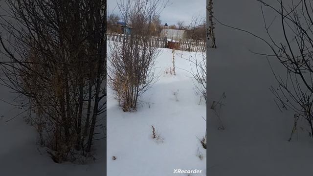 влог с дачи #14 смотреть онлайн