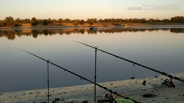 Рыбалка на фидер.Такого я не ожидал!Рыбалка на реке Кубань. смотреть онлайн