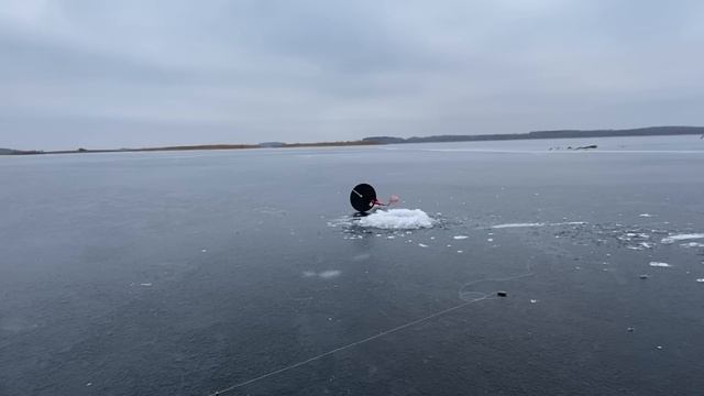 ПЕРВЫЙ РАЗ С ЖЕНОЙ НА ЗИМНЕЙ РЫБАЛКЕ! Ловля щуки на ЖЕРЛИЦЫ… смотреть онлайн