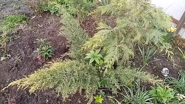 Оформляем входную зону. смотреть онлайн