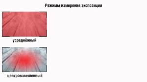 Как работает экспонометр, режимы экспозамера и компенсация экспозиции (для начинающих фотографов)