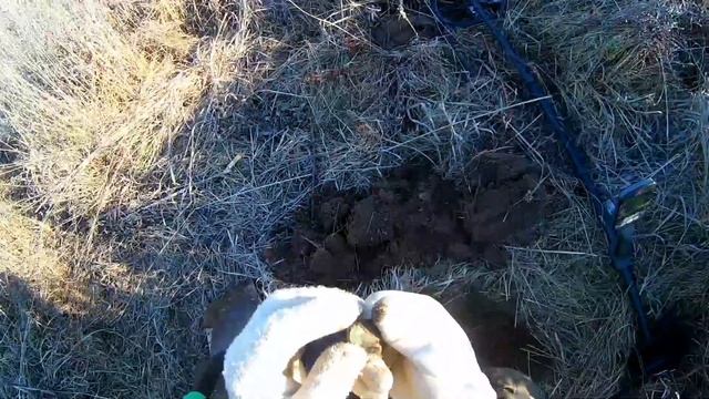 Экстримальный поиск с эквинокс 600 проверка холодом