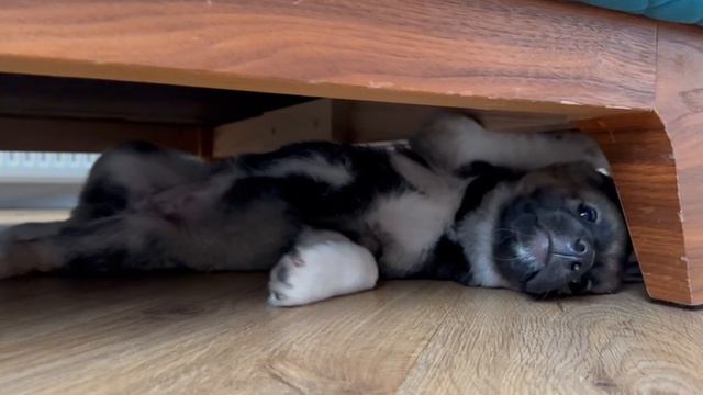 -6273809369979061247