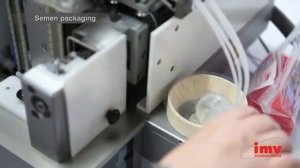 Сбор, фасовка и заморозка семени быка