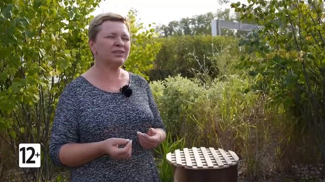 Тротуарная плитка Квадрум и Антара: где лучше применять? Цвета, фактура / Завод «Выбор» смотреть онлайн