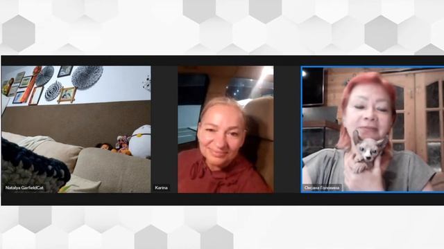 Голубоглазые породы кошек. смотреть онлайн