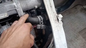 как переделана система охлаждения  двигателя wlt wl mazda ford