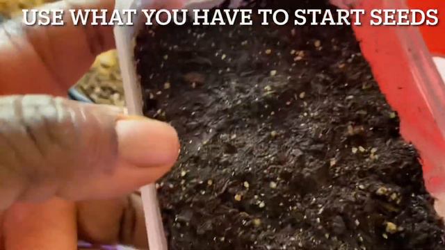 The Easiest Seeds to Grow Inside your Home. An Update On Topping Pepper Plants & Update On Seedling смотреть онлайн