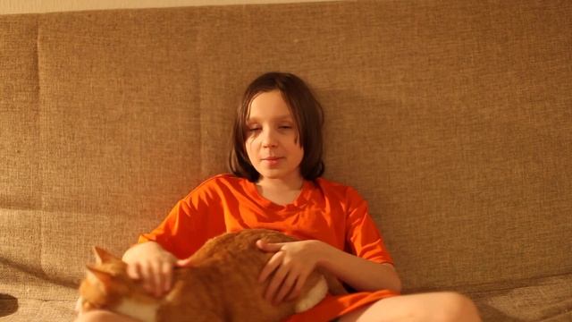 Как приучить взрослого кота к маленькому котенку смотреть онлайн