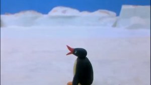 Pingu & Pinga's Sleepover Fun! | Pingu Official | Cartoons for Kids