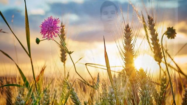 Поздравление от 10 класса | С праздником, наши любимые мамочки смотреть онлайн