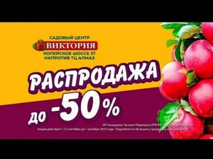 Рекламный блок Россия 1 Южный Урал 16.09.2023