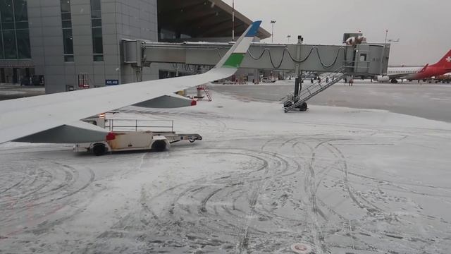 Airbus A320neo а/к Uzbekistan Airways | Рейс Санкт-Петербург - Ташкент смотреть онлайн