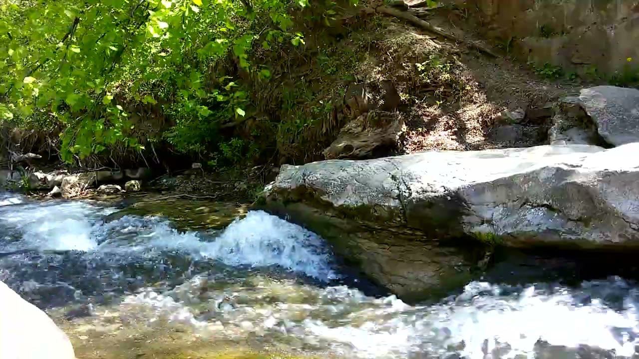 Горная река Ольховка (Кисловодск) / Mountain River Olkhovka (Kislovodsk). Relax Video