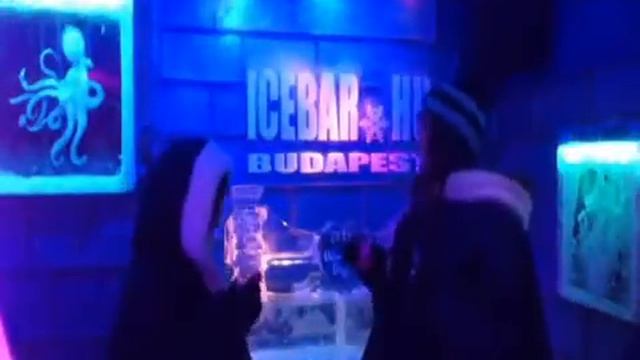 Harlem shake (Budapest ice bar version) смотреть онлайн