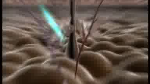 Календарь для женщин. Июнь смотреть онлайн