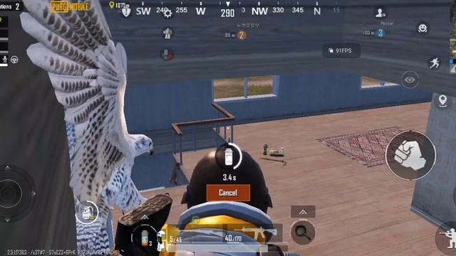 PUBG mobile 90 FPS Playing with Liz Game 2 (Nubia Red magic 8 pro+) смотреть онлайн
