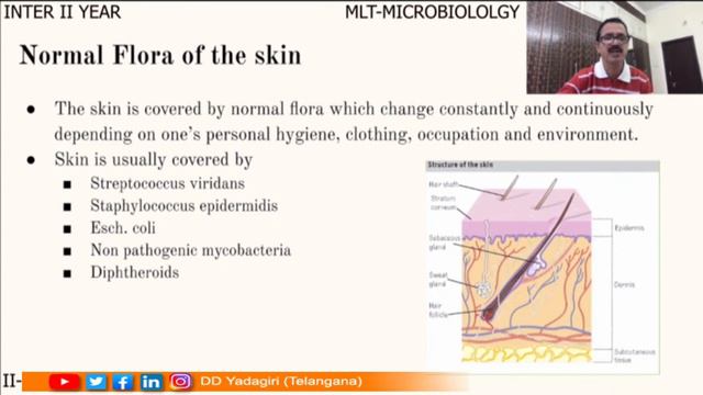 Medical Lab Technician | Normal Flora Of Micro Organism | Intermediate Education | Sept 15, 2020 смотреть онлайн