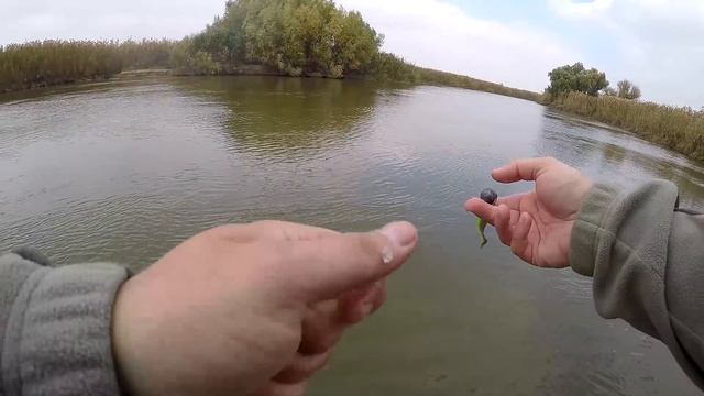 ПОРЕМ СУДАКА И ЩУКУ НА ДЖИГ! 27 МИНУТ КЛЁВА БЕЗ БОЛТОВНИ! РЫБАЛКА В АСТРАХАНИ ОСЕНЬЮ НА РАСКАТАХ смотреть онлайн