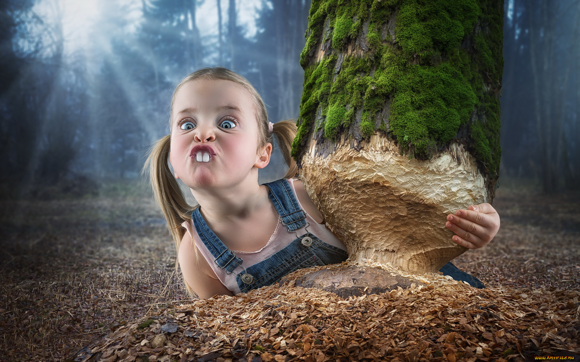 Приколы приколочены смотреть онлайн