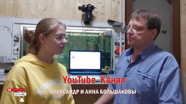 работа с хромакеем заставка с котом смотреть онлайн