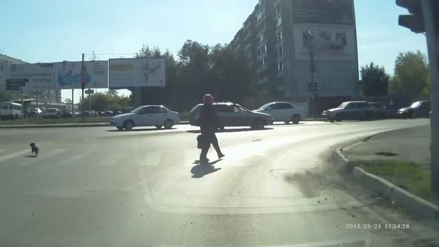 Собачка на дороге - пытка для женщин смотреть онлайн