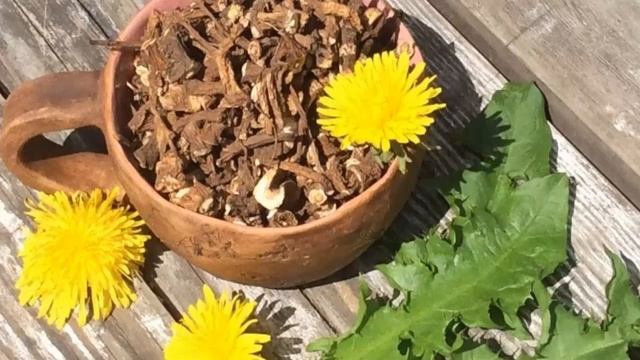 Польза и вред корня одуванчика. Рецепты смотреть онлайн