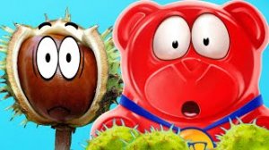 КАК ЖАРИТЬ КАШТАНЫ РАССКАЖЕТ ЖЕЛЕЙНЫЙ МЕДВЕДЬ ВАЛЕРА