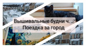6. Вышивальные будни ч. 2, поездка за город, вышивка крестом