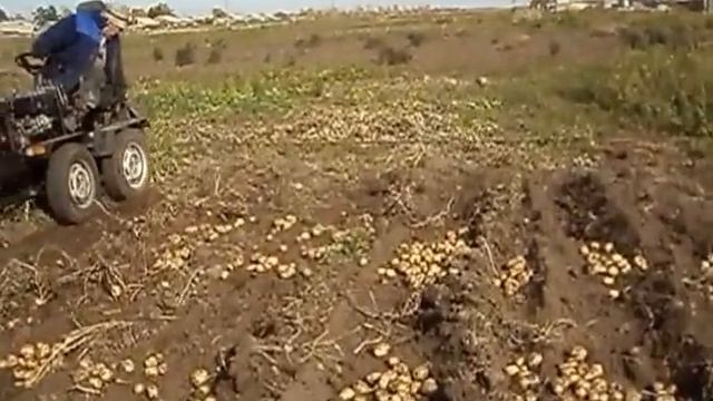 Уборка картофеля на минитракторе #2 смотреть онлайн