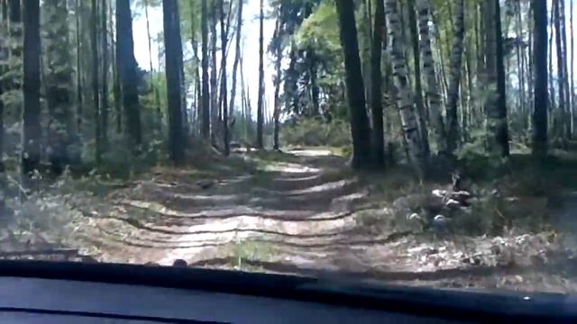 Российские лесные дороги смотреть онлайн