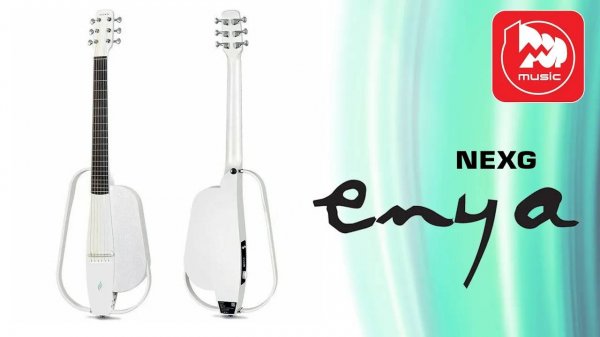 Электроакустика ENYA NEXG