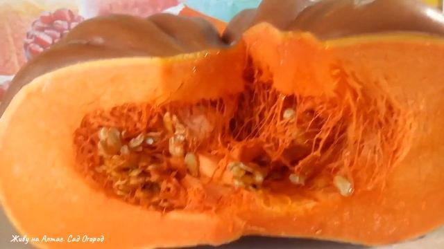 Сказочно красивый и сладкий сорт Тыквы смотреть онлайн