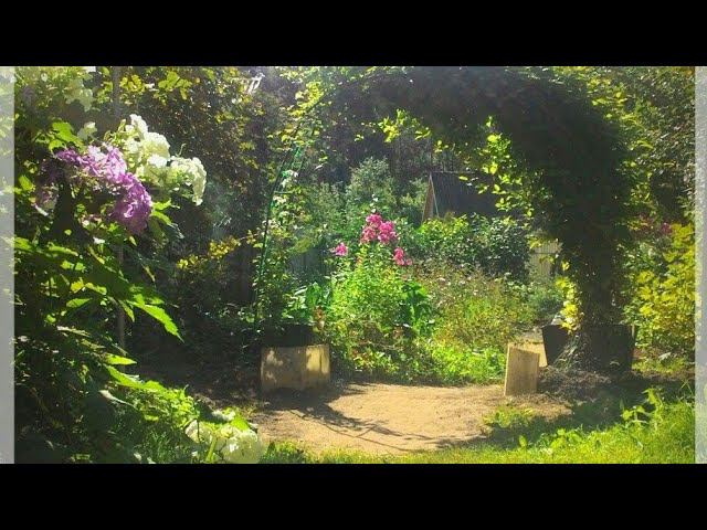 Приглашаю в сад. Июнь 2020. смотреть онлайн