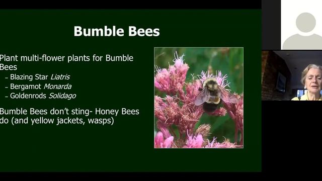 50 Ways to Improve Habitat in Your Yard смотреть онлайн