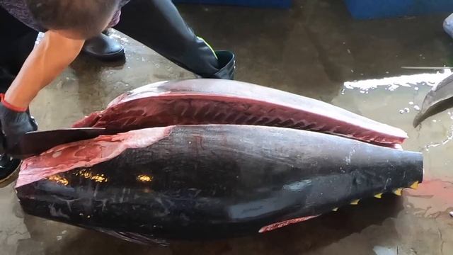 Over 300 Kg GIANT BLUEFIN TUNA FISH CUTTING Sashimi   Taiwanese Street Food