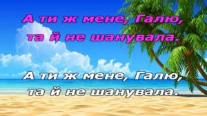 Украинская народная песня "Несе Галя воду" _Караоке минус