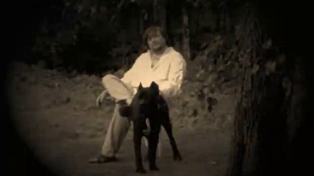 Мой чёрный пёс. (стихи Олега Захарова) смотреть онлайн