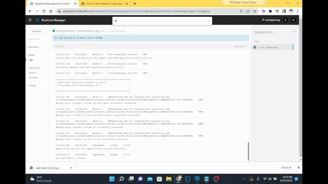 How to ping / telnet / curl from MuleSoft CloudHub | Connectivity verification using Network tool смотреть онлайн