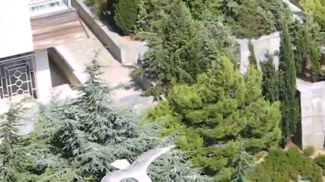 Птицы смотреть онлайн