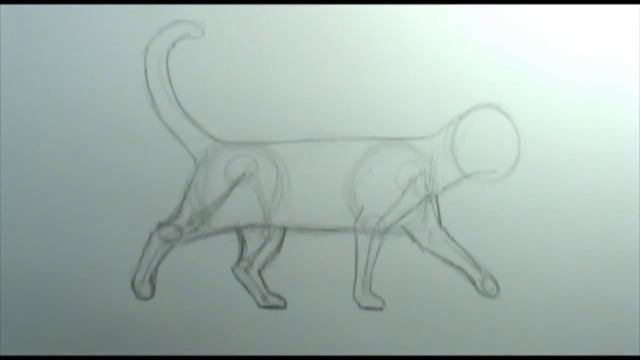 How to draw a cat walking смотреть онлайн
